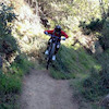smo11 avatar