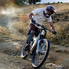 nebel avatar