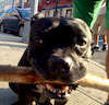 EricfromBrooklyn avatar