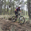 Pinkbike profile picture for @Moha