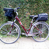 Wilhelm24seven avatar