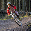 lookwoods avatar