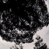Pinkbike profile picture for @borrower