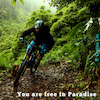 bikesafaritour avatar