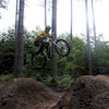 susi-the-subsin avatar