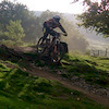 OswestSte avatar