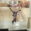 skateosiris avatar