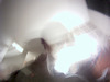 GreenTreeFilms avatar