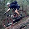 peter-rabbit-mtb avatar