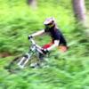 specializedtommy avatar