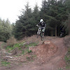 harryb avatar