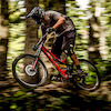 peterwalker avatar