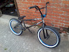 gogster123456789 avatar