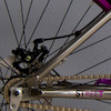 Pinkbike profile picture for @venezuela