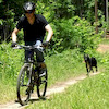 downsafe205 avatar