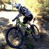 Diggingworm avatar
