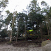 dazmond27 avatar