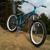 ady4dartmoor avatar