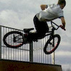 toddyboy avatar