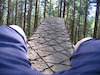diamondback3 avatar