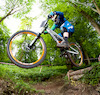 thebaron38 avatar