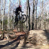 tgray18 avatar