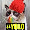 ratcat avatar