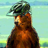 cragus-t avatar
