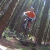 on-the-trail avatar