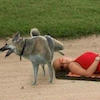 Pinkbike profile picture for @poster