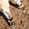 AllMountainNEXT avatar