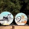 gmg454 avatar