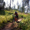 ab87 avatar
