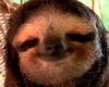 UncleFlow avatar