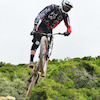 williamxdh avatar