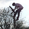 Driftmonkey avatar