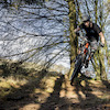 whitiemtb avatar