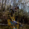 saxondh avatar