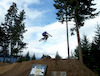 nzrider01 avatar