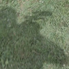 paymenow avatar