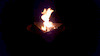 AngusEnglert avatar