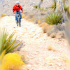 Pinkbike profile picture for @Nebula