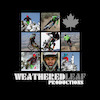 WeatheredLeaf avatar