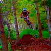matthewfraser13 avatar