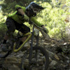 slc-ripper avatar