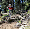 allanpilgram avatar