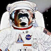 trestlekrew avatar