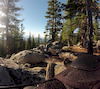 tahoedownhill avatar