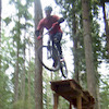 HainesBiker avatar