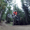 grifflar11 avatar